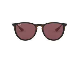Ray-Ban Erika Sonnenbrille RB 4171 6391/75
