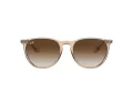 Ray-Ban Erika Sonnenbrille 4171 651413