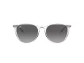 Ray-Ban Erika Sonnenbrille RB 4171 651611