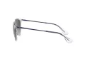 Ray-Ban Erika Sonnenbrille RB 4171 651611