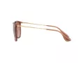 Ray-Ban Erika Sonnenbrille RB 4171 6590/13