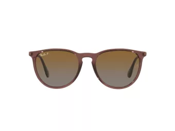 Ray-Ban Erika Sonnenbrille RB 4171 6593/T5