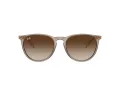 Ray-Ban Erika Sonnenbrille RB 4171 674413
