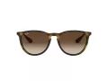 Ray-Ban Erika Sonnenbrille RB 4171 865/13