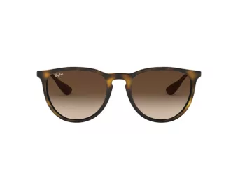 Ray-Ban Erika Sonnenbrille RB 4171 865/13
