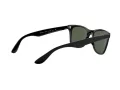Ray-Ban Wayfarer Liteforce Sonnenbrille RB 4195 601/71