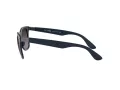Ray-Ban Wayfarer Liteforce Sonnenbrille RB 4195 6331/8G