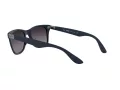 Ray-Ban Wayfarer Liteforce Sonnenbrille RB 4195 6331/8G