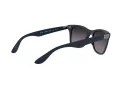 Ray-Ban Wayfarer Liteforce Sonnenbrille RB 4195 6331/8G