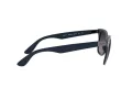 Ray-Ban Wayfarer Liteforce Sonnenbrille RB 4195 6331/8G
