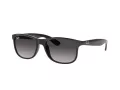 Ray-Ban Andy Sonnenbrille RB 4202 601/8G
