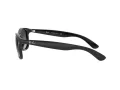 Ray-Ban Andy Sonnenbrille RB 4202 601/8G