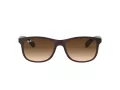 Ray-Ban Andy Sonnenbrille RB 4202 6073/13