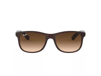 Ray-Ban Andy Sonnenbrille RB 4202 6073/13