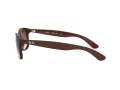 Ray-Ban Andy Sonnenbrille RB 4202 6073/13