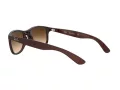 Ray-Ban Andy Sonnenbrille RB 4202 6073/13