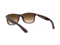 Ray-Ban Andy Sonnenbrille RB 4202 6073/13
