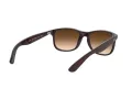 Ray-Ban Andy Sonnenbrille RB 4202 6073/13