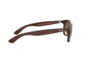 Ray-Ban Andy Sonnenbrille RB 4202 6073/13