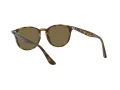 Ray-Ban Sonnenbrille RB 4259 710/73