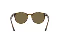 Ray-Ban Sonnenbrille RB 4259 710/73