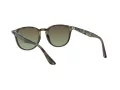 Ray-Ban Sonnenbrille RB 4259 731/E8