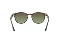 Ray-Ban Sonnenbrille RB 4259 731/E8