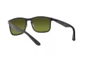 Ray-Ban Sonnenbrille RB 4264 876/6O