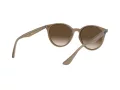 Ray-Ban Sonnenbrille RB 4305 6166/13