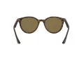 Ray-Ban Sonnenbrille RB 4305 710/73