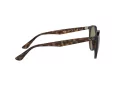 Ray-Ban Sonnenbrille RB 4305 710/73