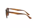 Ray-Ban Sonnenbrille RB 4305 820/73