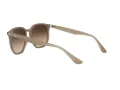 Ray-Ban Sonnenbrille RB 4306 616613