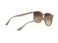 Ray-Ban Sonnenbrille RB 4306 616613