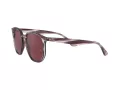Ray-Ban Sonnenbrille RB 4306 6431/75
