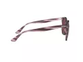 Ray-Ban Sonnenbrille RB 4306 6431/75