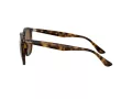 Ray-Ban Sonnenbrille RB 4306 710/83