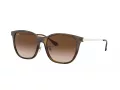 Ray-Ban Sonnenbrille RB 4333D 710/13