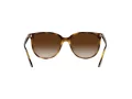 Ray-Ban Sonnenbrille 4378 710/13