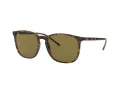 Ray-Ban Sonnenbrille RB 4387 710/73