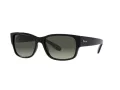 Ray-Ban Sonnenbrille RB 4388 601/71