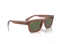 Ray-Ban Warren Sonnenbrille RB 4396 66789A