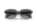 Ray-Ban Erik Sonnenbrille RB 0RB4398 667571