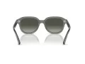 Ray-Ban Erik Sonnenbrille RB 0RB4398 667571