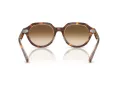 Ray-Ban Gina Sonnenbrille RB 4399 141451