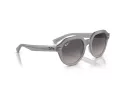 Ray-Ban Gina Sonnenbrille RB 0RB4399 6429M3