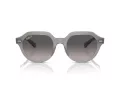 Ray-Ban Gina Sonnenbrille RB 0RB4399 6429M3