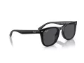 Ray-Ban Sonnenbrille RB 4420 601/87