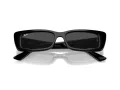 Ray-Ban Teru Sonnenbrille RB 4425 667787
