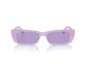 Ray-Ban Teru Sonnenbrille RB 4425 67581A